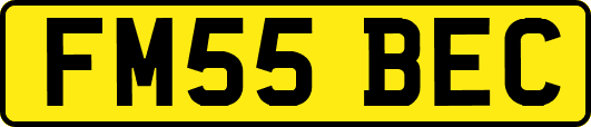 FM55BEC