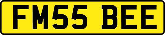FM55BEE