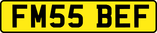 FM55BEF