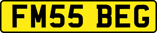 FM55BEG