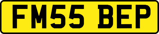 FM55BEP