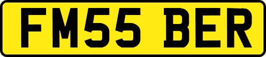 FM55BER