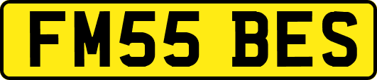 FM55BES
