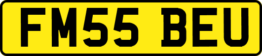 FM55BEU