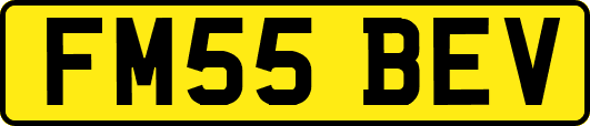 FM55BEV