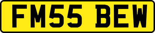 FM55BEW