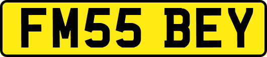 FM55BEY