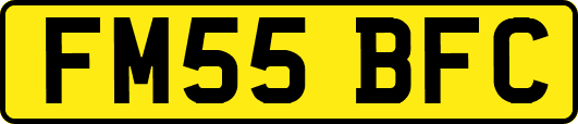 FM55BFC