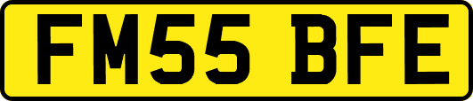 FM55BFE