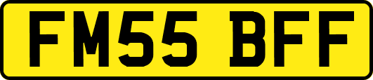 FM55BFF