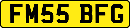 FM55BFG