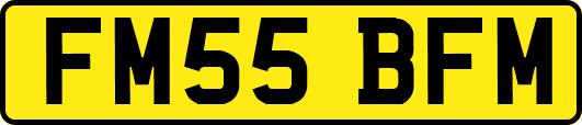 FM55BFM