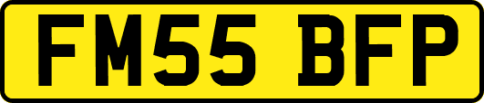 FM55BFP