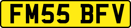 FM55BFV