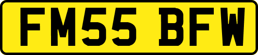 FM55BFW