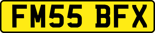 FM55BFX