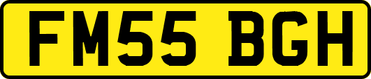 FM55BGH