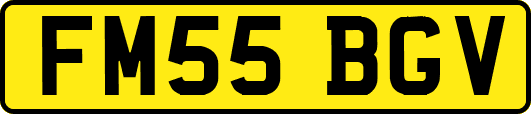 FM55BGV