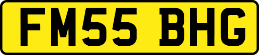 FM55BHG