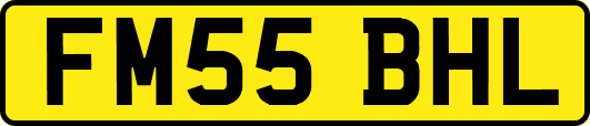 FM55BHL