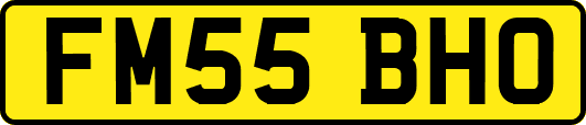 FM55BHO