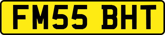 FM55BHT