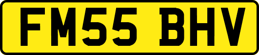 FM55BHV