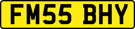FM55BHY