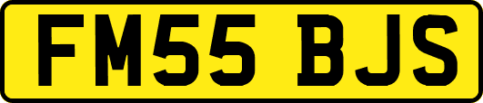 FM55BJS