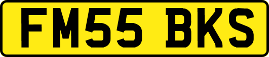 FM55BKS