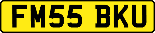 FM55BKU