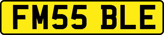 FM55BLE