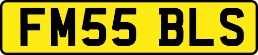 FM55BLS