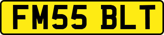 FM55BLT