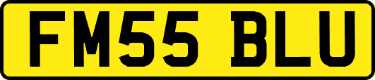 FM55BLU