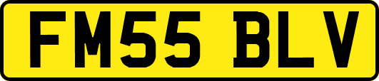 FM55BLV