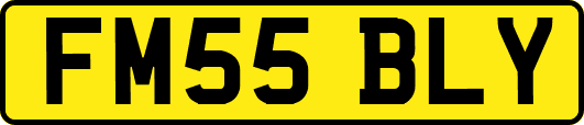 FM55BLY