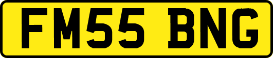 FM55BNG