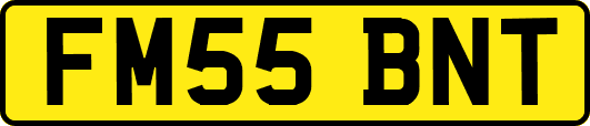FM55BNT