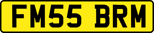 FM55BRM
