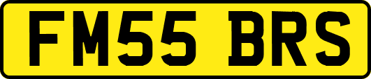 FM55BRS