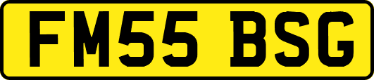 FM55BSG
