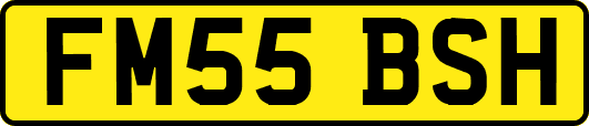FM55BSH