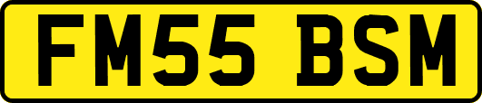 FM55BSM