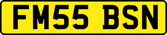 FM55BSN