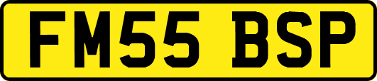 FM55BSP