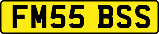 FM55BSS