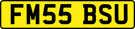 FM55BSU