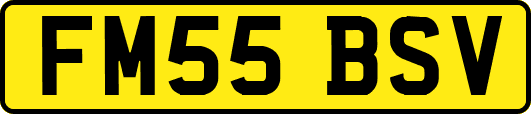 FM55BSV