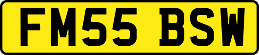 FM55BSW
